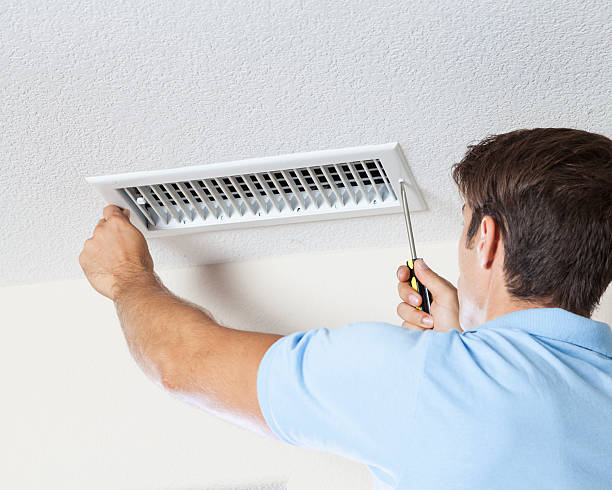Reliable Greenwood, PA Mold Removal Solutions